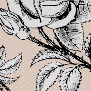 Meet your Posher, Caitlyn